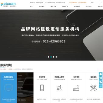 重庆网站建设制作-网站设计推广-建做网站-沛宣网络